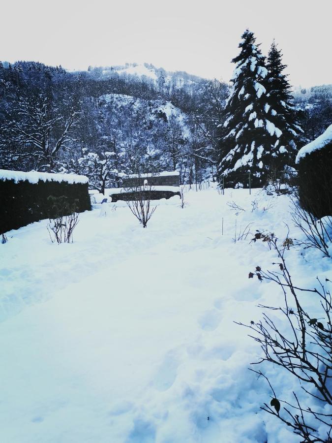 Carpe Diem - Cote-Montagnes Oderen Εξωτερικό φωτογραφία